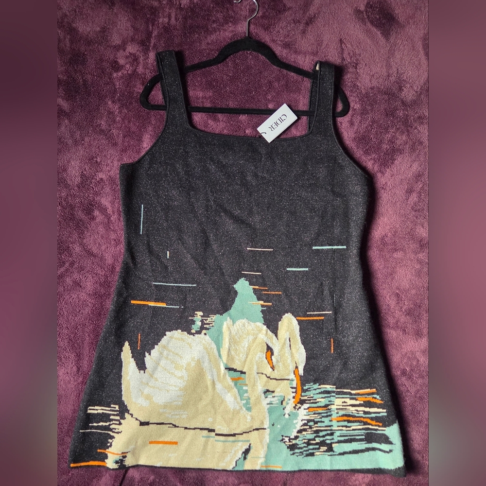 NWT Cider Swan Dress